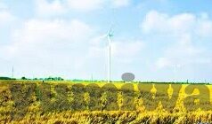亚洲一区二区三区蜜桃麻豆福利视频-探索亚洲文化的多样性——从一区二区到三区的丰富风情